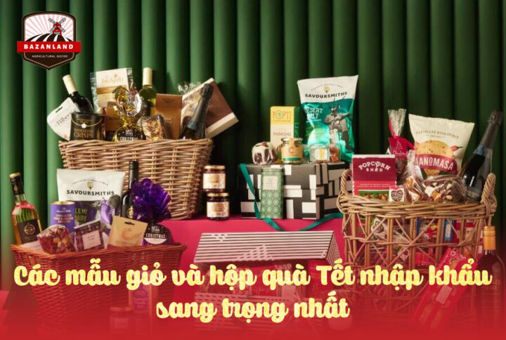 Hộp quà Tết nhập khẩu chính hãng và sang trọng
