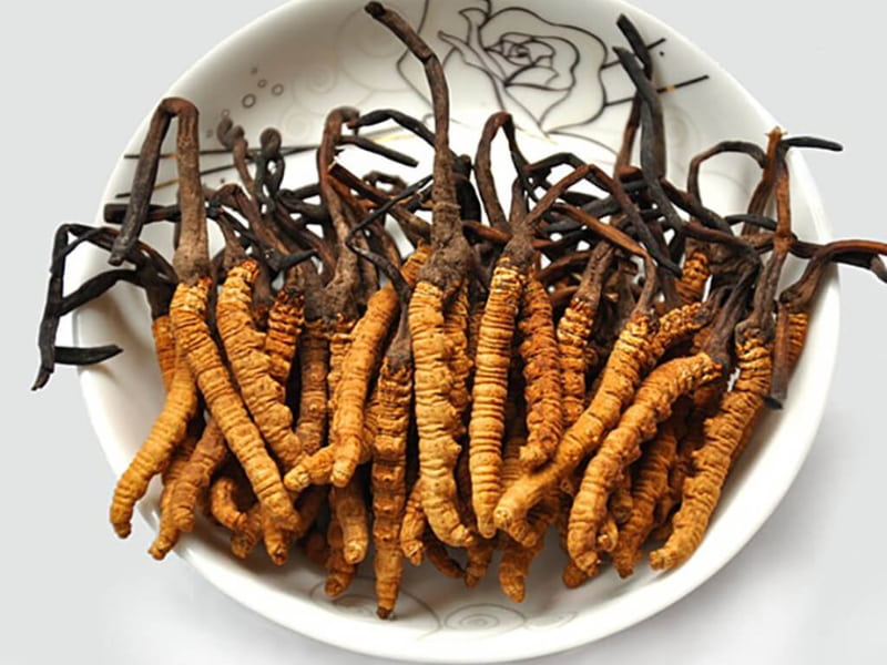 Đông trùng hạ thảo dạng con