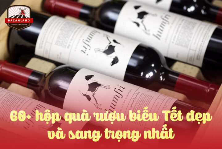 Top 7 loại rượu biếu Tết ngoại nhập sang trọng và cao cấp