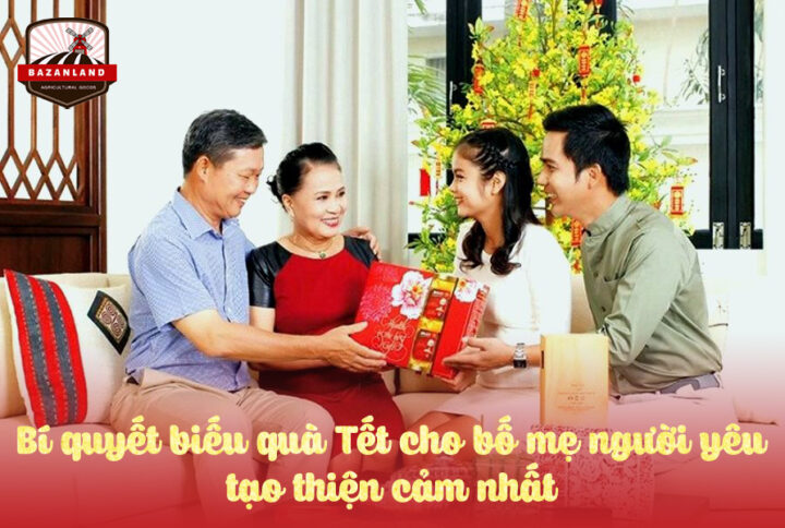 Gợi ý biếu quà Tết cho bố mẹ người yêu cho các cặp đôi lần đầu ra mắt