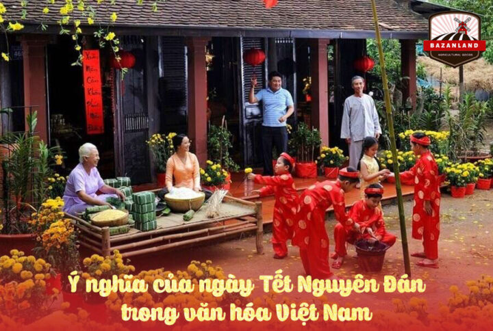 Tết Nguyên Đán là gì? Ý nghĩa của ngày Tết Nguyên Đán