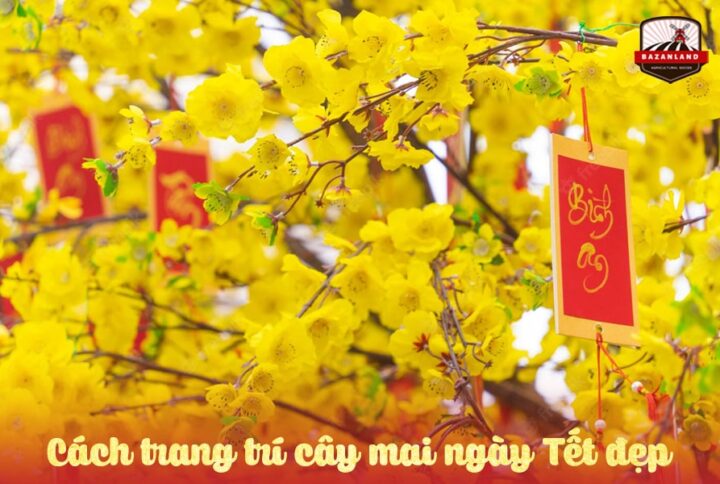Cách trang trí cây mai ngày Tết đẹp giúp rước tài lộc vào nhà