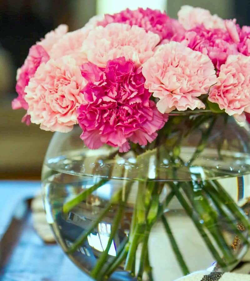 Cách cắm hoa cẩm chướng ngày tết đẹp và tươi lâu
