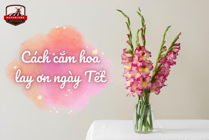 5 cách cắm hoa lay ơn ngày Tết rực rỡ không khí xuân