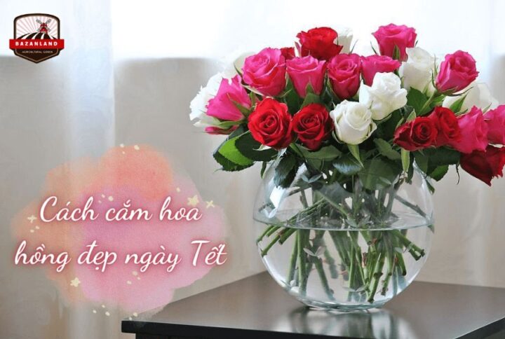 5 cách cắm hoa hồng ngày Tết đẹp, tươi lâu