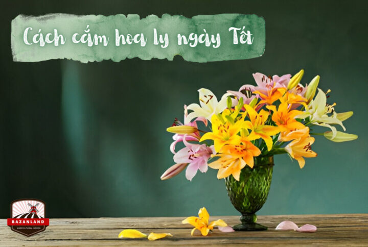 Cách cắm hoa ly ngày Tết đẹp và tươi lâu bền màu