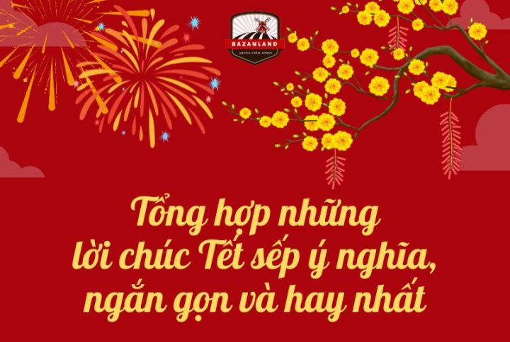 Tổng hợp 50+ lời chúc Tết sếp ý nghĩa, ngắn gọn và hay nhất